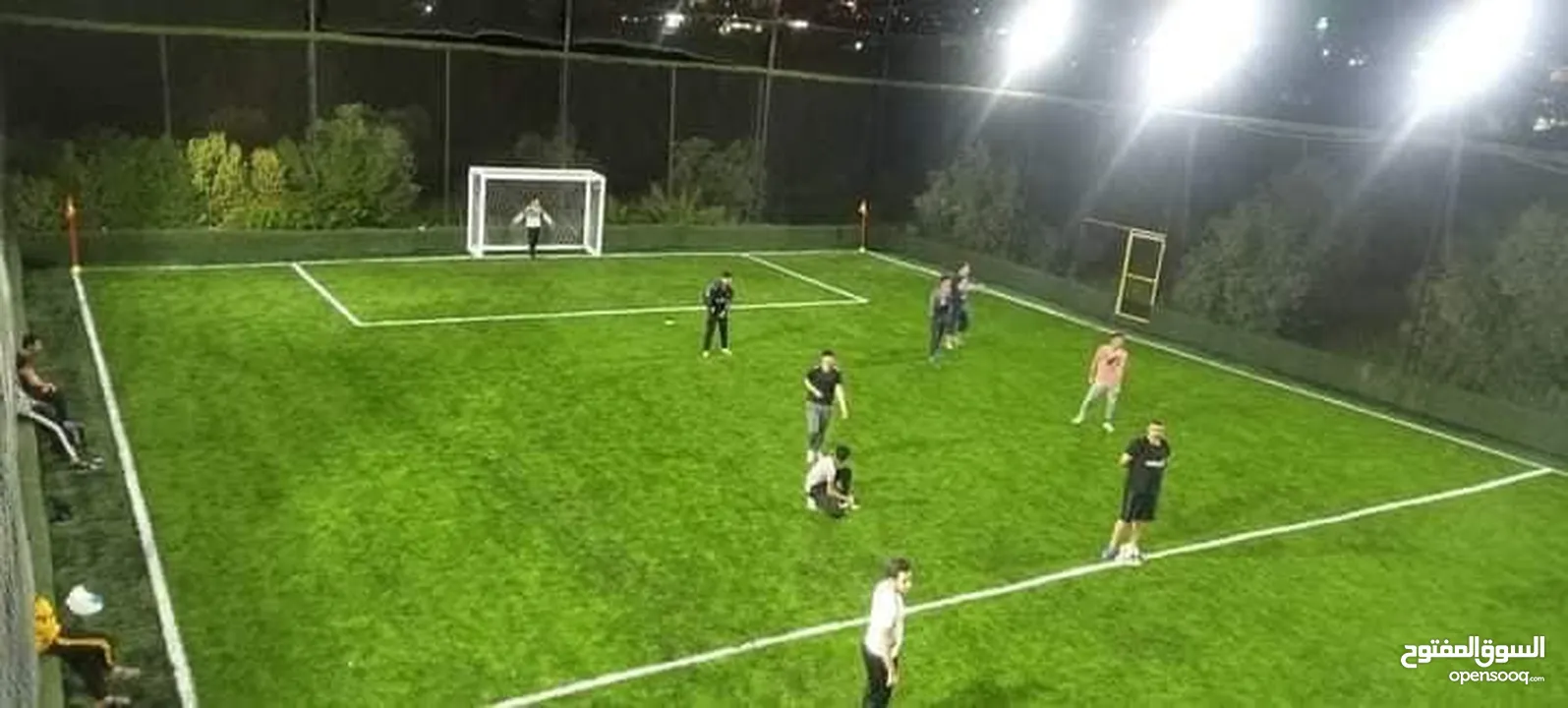 عشب ملاعب / عشب حدائق / عشب مدارس / عشب مزارع / عشب صناعي/ نجيل / تارتان Playground grass