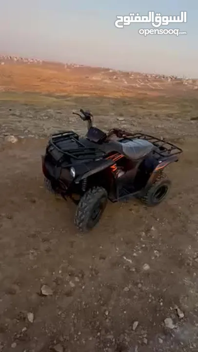 Kawasaki BRUTE FORCE 300