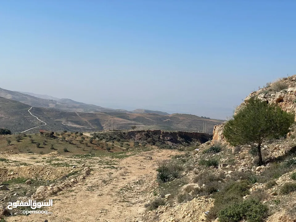 ارض للبيع / الصبيحي 18 دونم تقع على شارع رئيسي ‏بإطلالة مميزة وجميلة ويوجد بجانبها مطعم