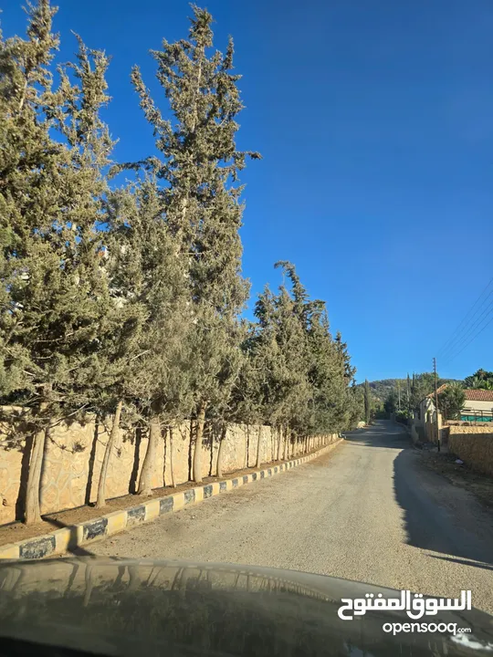 قطعة ارض للبيع تل الرمان خيل وليل