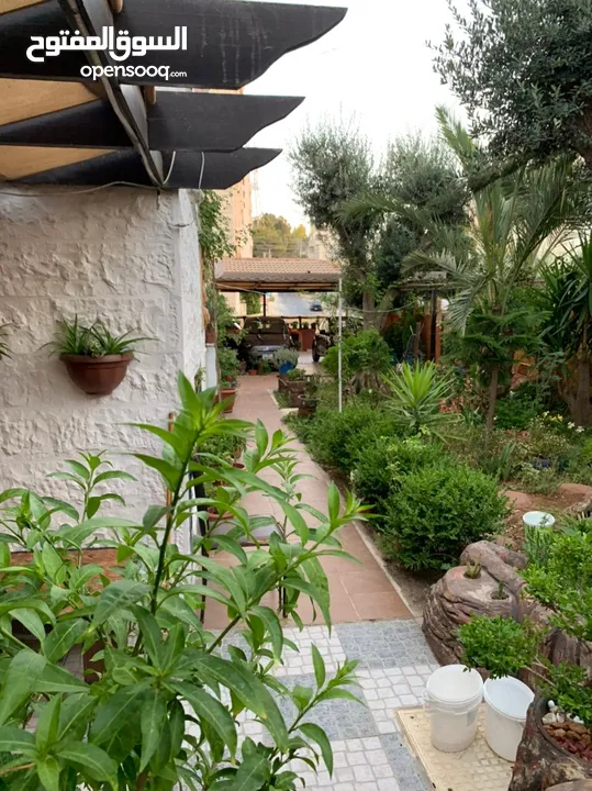 بيت في مرج الحمام بسعر مغري عباره عن عماره خاصه 3 طوابق