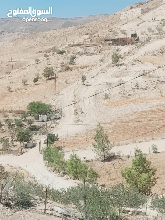 أرض بسعر مغري