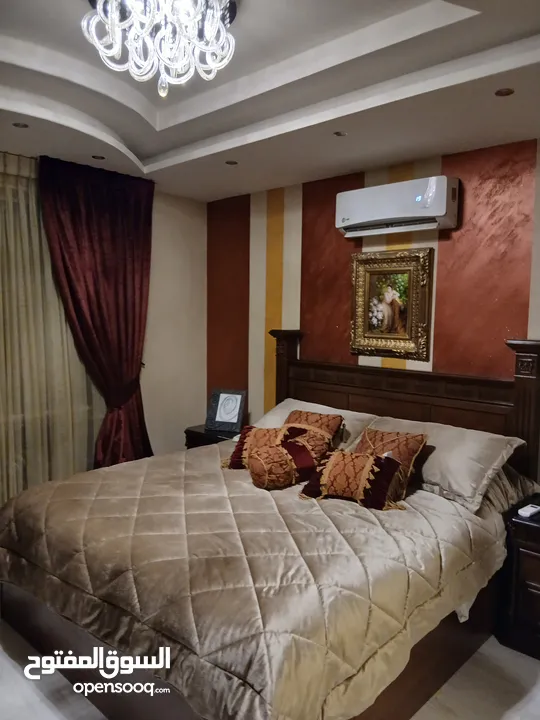 شقه طارق ارضي