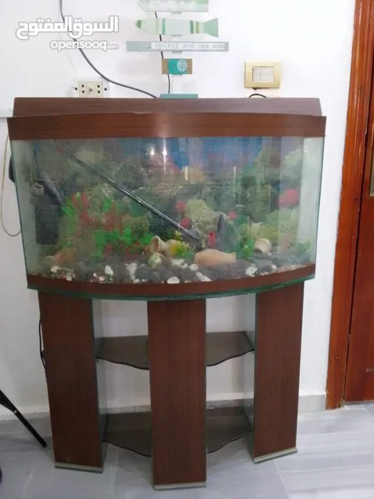 حوض سمك نضيف استعمال عياده مع فلتر واضائه