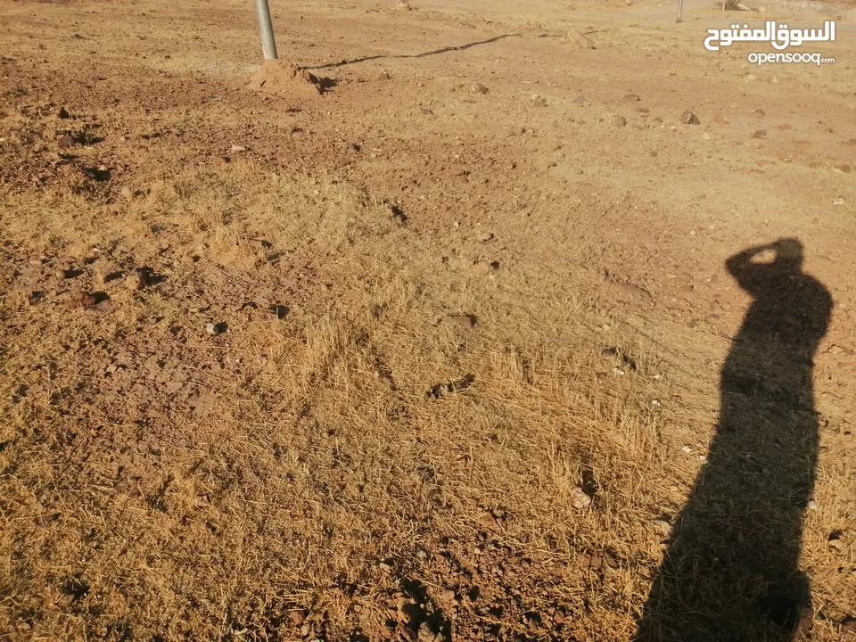 نمرتين ظهرة الرمل بسعر مغري جدا اطلالة غربية كاملة تصلح ل شالية فخم