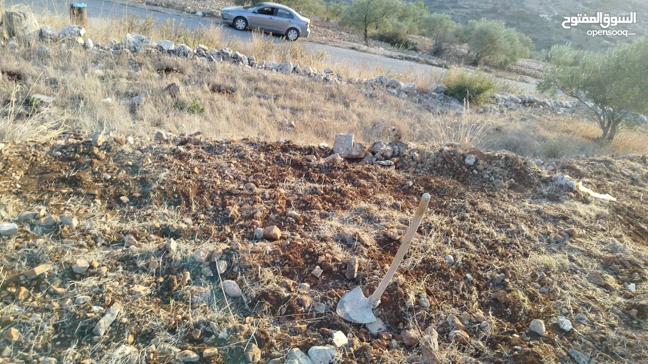 قطعة أرض مميزة في مزارع النوباني