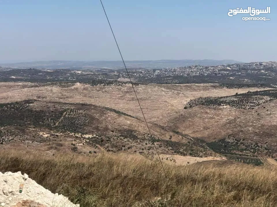 نمرة أرض مساحة 500 متر في مشروع أبو صالحة ، بزاريا / كوشان طابو مفروز تصنيف A