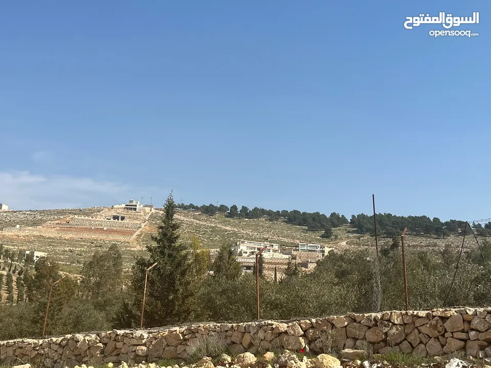 ارض للبيع  العنيبه حوض الحميدي من المالك مباشرة اطلاله عالية بالقمه