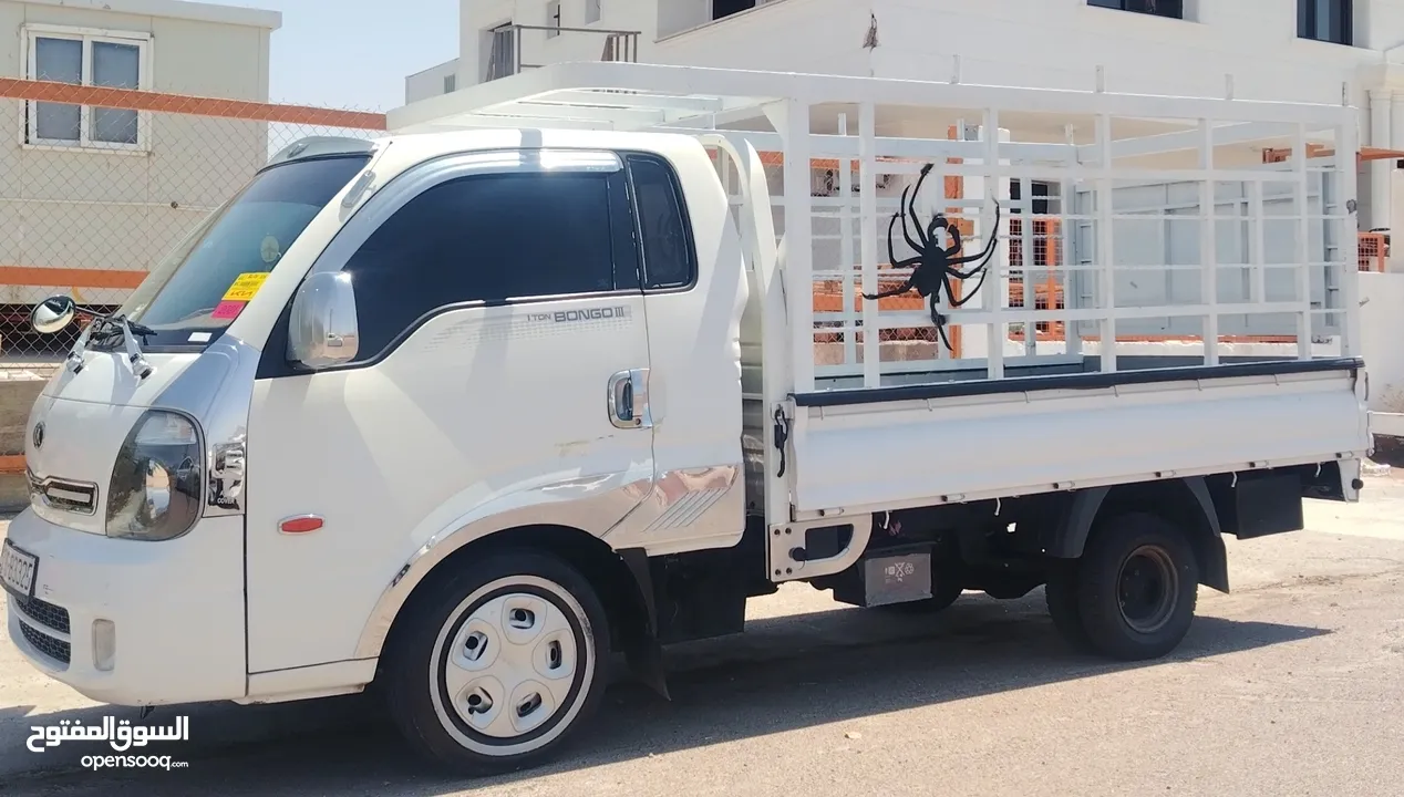 صندوق بورتر او بنجو للبيع