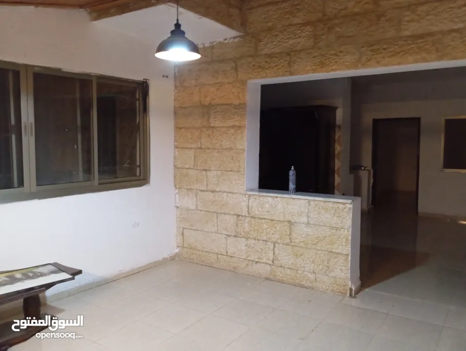 محمد  ابو زيد