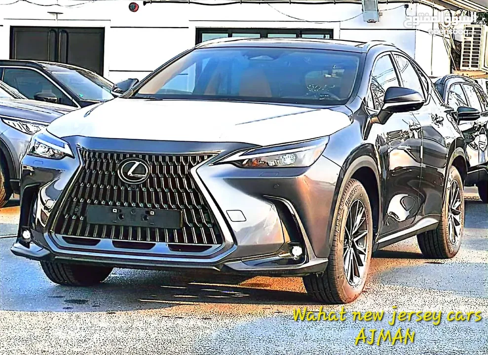 Lexus NX-350 HYBRIDE 2024 GERMANY SPEC