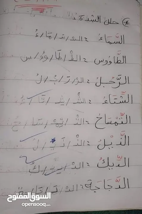 معلمة تأسيس لمرحلة ماقبل المدرسة والمرحلة الابتدائيه جميع المواد عربى رياضيات انجليزى