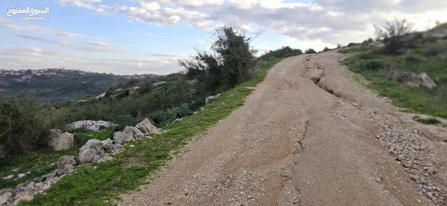 دونم ارض طابوا فلسطيني منطقة (B)بالقرب من دوار كفرصور جميع الخدمات فيها عليها شارع 12متر موقع مميز