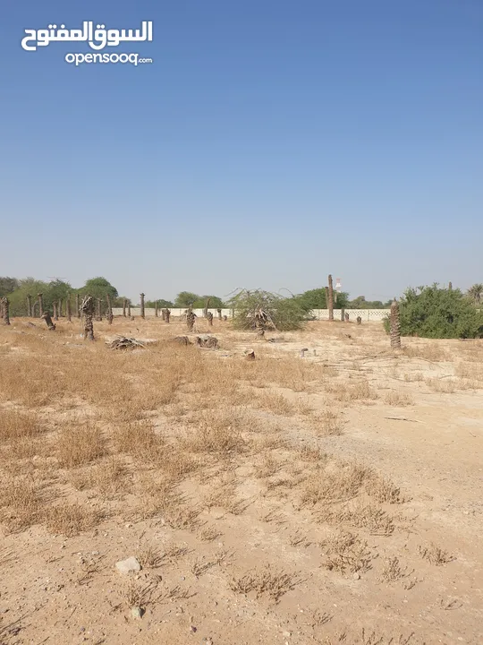 مزرعة للبيع بموقع مميز قريب للخدمات والسعر مناسب