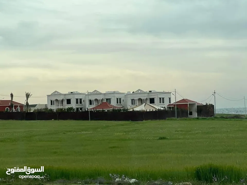 قطعة ارض مميزه في منطقة منجا تلعة النوران اعلى قمة من المالك مباشرة بسعر مغري استثمارية و مميزة
