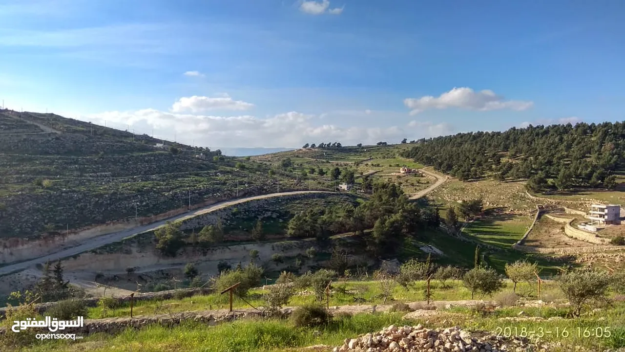 مزرعة في جرش للبيع من المالك مباشرة