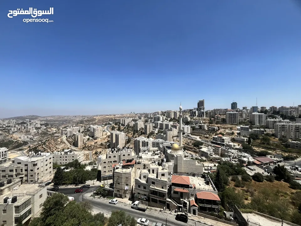 ضياء الشله