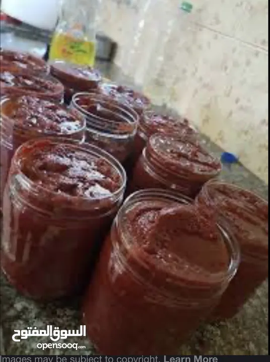 رب البندورة