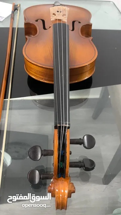 Grate luxurious Violin