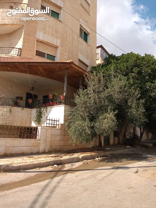 شقه طابق ارضي مدخل مستقل ليست تسويه للبيع الحي الشرقي