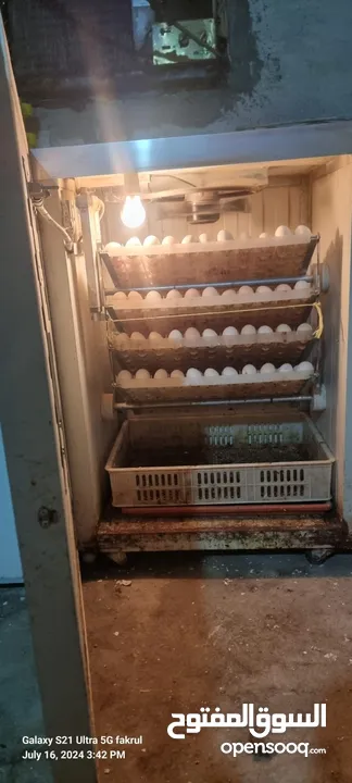 Egg hatching machine  فقاسة/فقاصة بيض /Loader شيول صغير / واتساب رجاء/ WhatsApp please