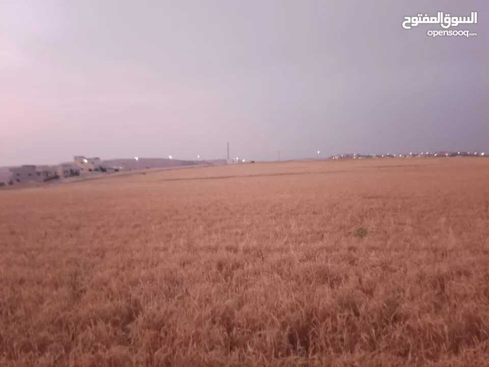 مادبا ماعين المشرفة قطعة ارض زراعية مميزة واصل الخدمات ذات اطلالة على البحر الميت واصل الخدمات