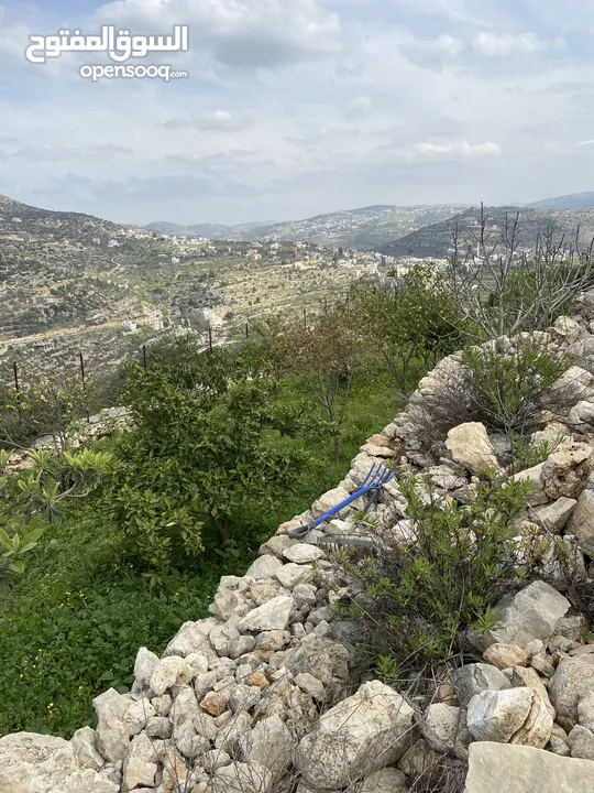 بيت ريفي مع مزرعة