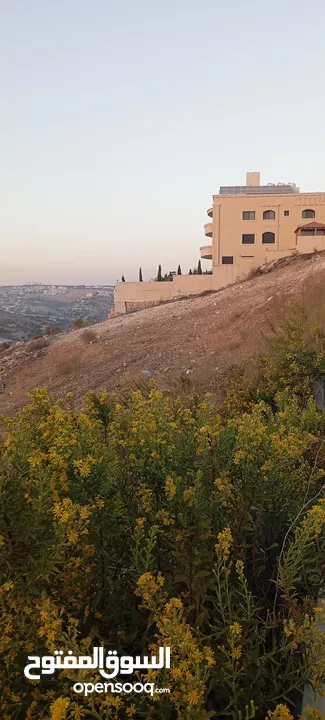 ارض مميزة مطلة ابو السوس غرب عمان عدة قطع في المنطقة.