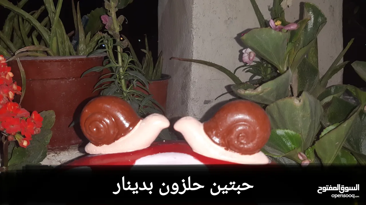 مجسمات لديكور المنازل والحدائف والمكاتب