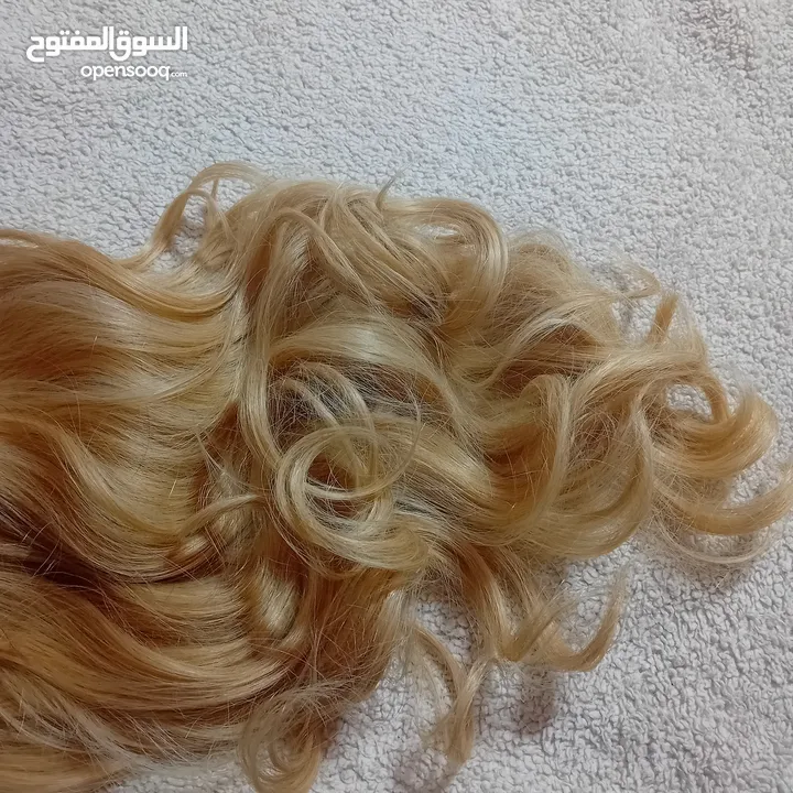 شعر باروكه نخب اول من امريكا بالليبل