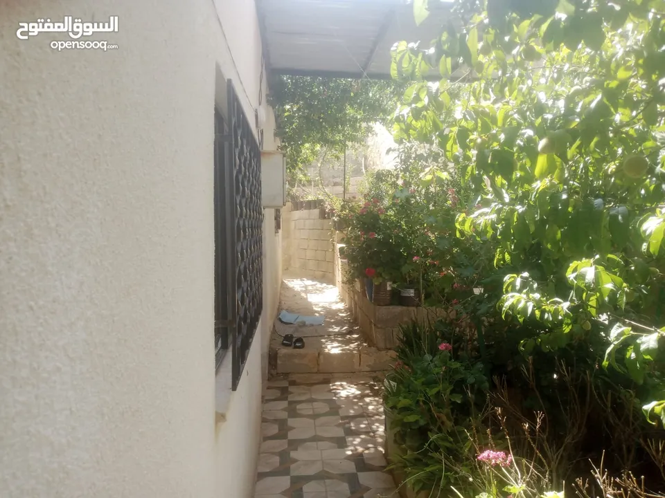 منزل مستقل جرش اسكان عجرمه  3غرف نوم 2حمام  صاله مع مطبخ امريكي  بلكونه  حديقه مساحه الارض 305