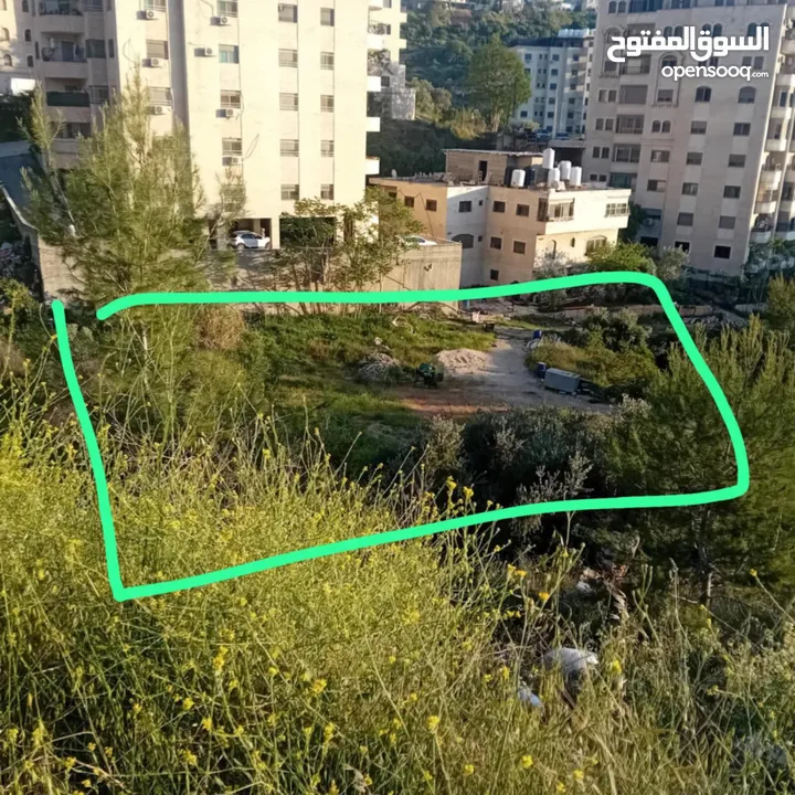 ارض للبيع ( رام الله - الطيرة)