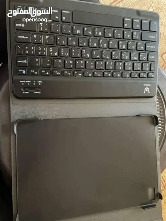 vikusha v-z60
