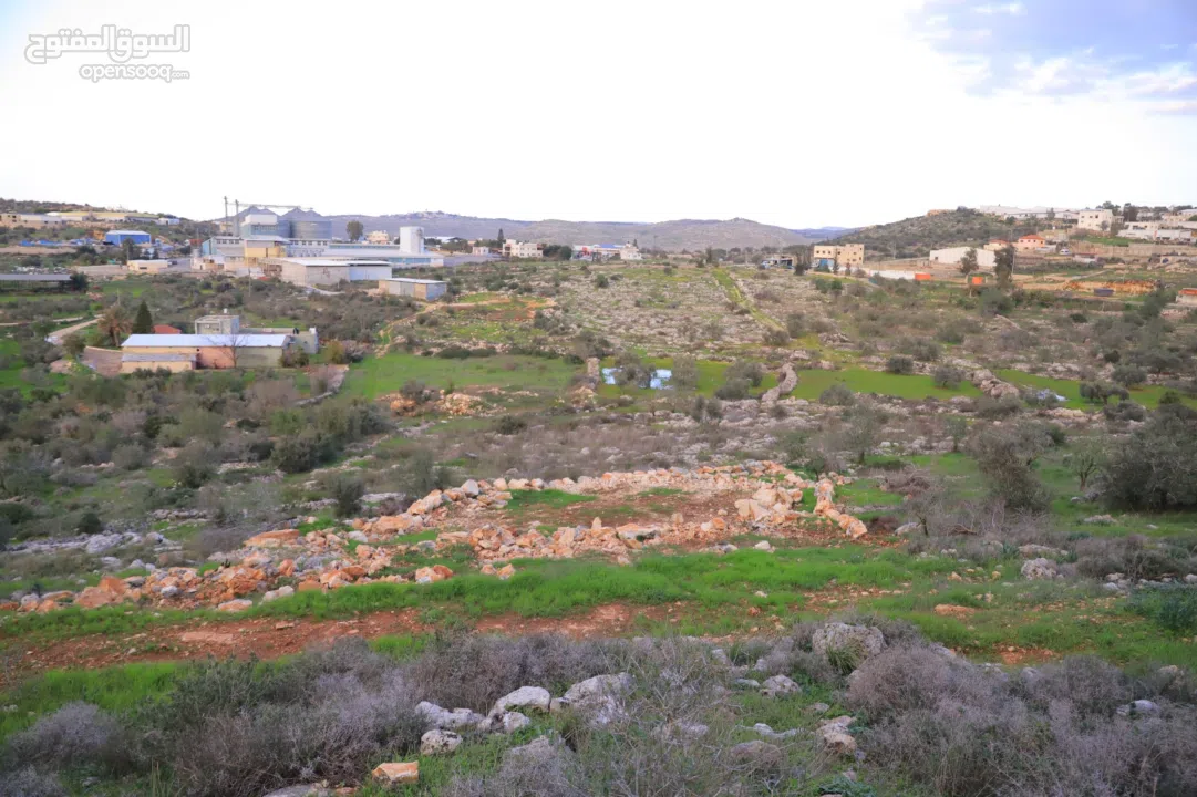 800متر طابوا فلسطيني في اجمل موقع بالكفريات واطلالة مميزةمنطقة( b)صالحة للبناء