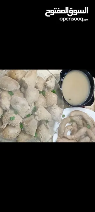 طبخ ومونة البيت من عنا