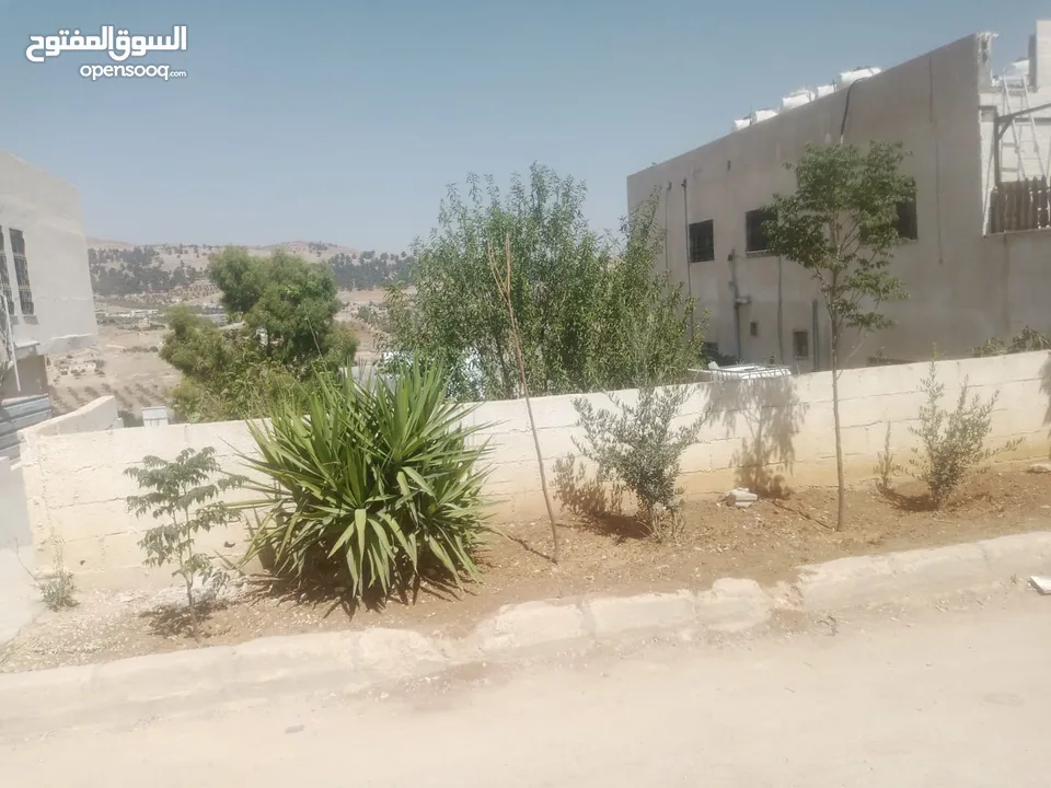 منزل مستقل جرش اسكان عجرمه  3غرف نوم 2حمام  صاله مع مطبخ امريكي  بلكونه  حديقه مساحه الارض 305