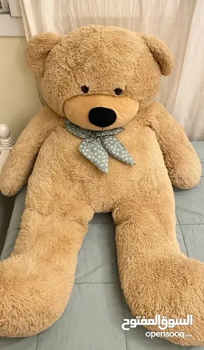 Big human size teddy bear perfect for a gift دبدوب كبير جدا هدية