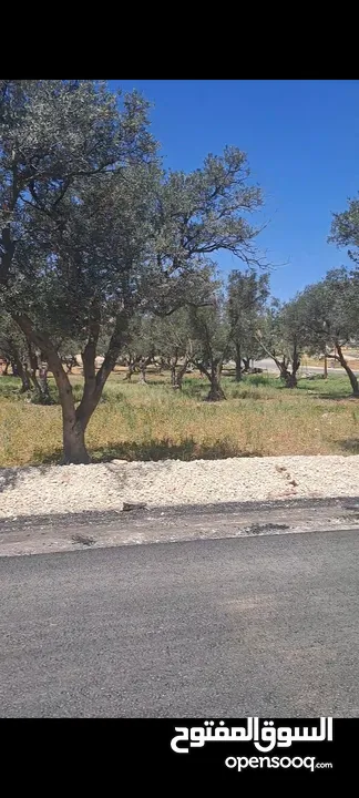 دونم ارض من اراضي ناعور على شارعين من المالك مباشرة