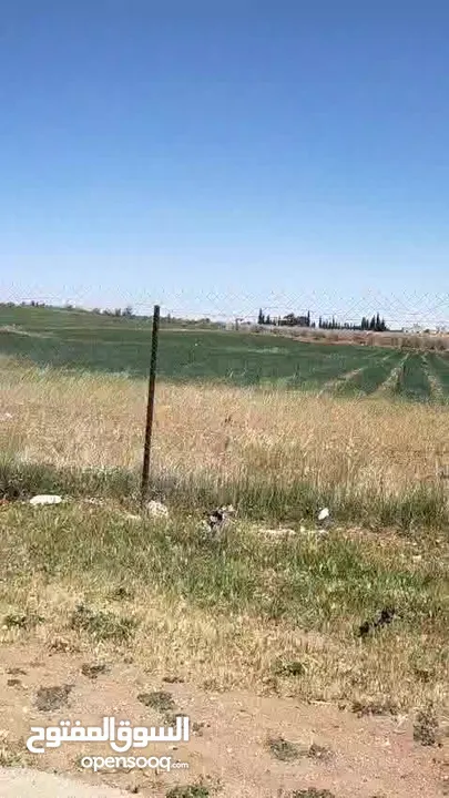 ارض للبيع في الخضراء البريزا 59 دونم