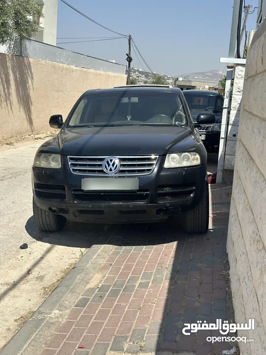 وعد محمد حماد
