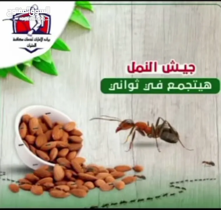 شركة مكافحة حشرات وأعمال الرمه وتركيب طارد الحمام