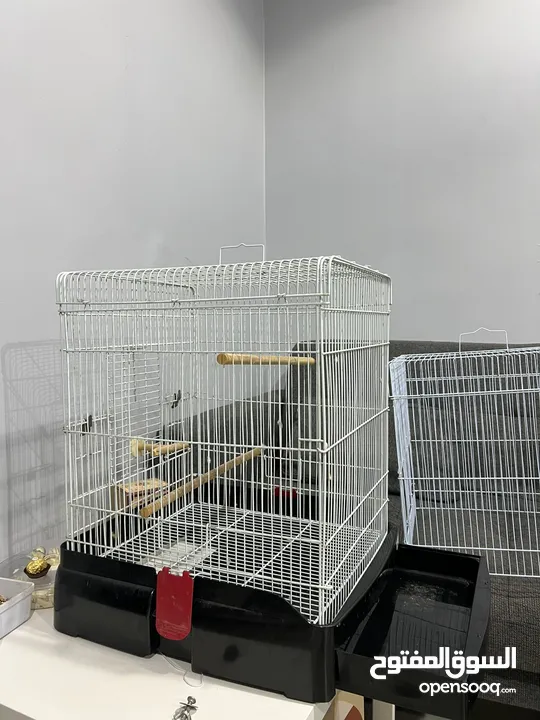 Cage for bird / birds قفص للطيور