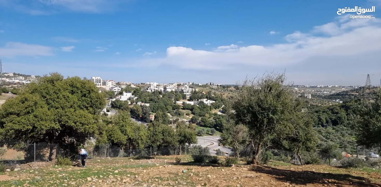 أرض مميزة للبيع في بدر الجديدة حوض الميسر من المالك مباشرة