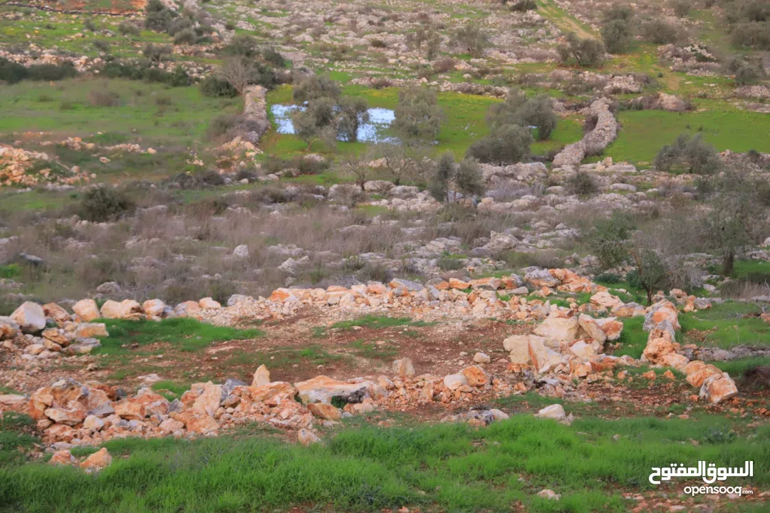 800متر طابوا فلسطيني في اجمل موقع بالكفريات واطلالة مميزةمنطقة( b)صالحة للبناء