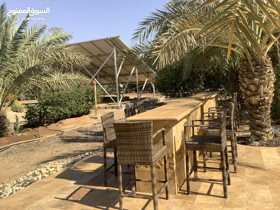 مزرعة في البحر الميت/ الشونه الجنوبية / السويمه / حوض جلد مميزة للبيع للجادين فقط
