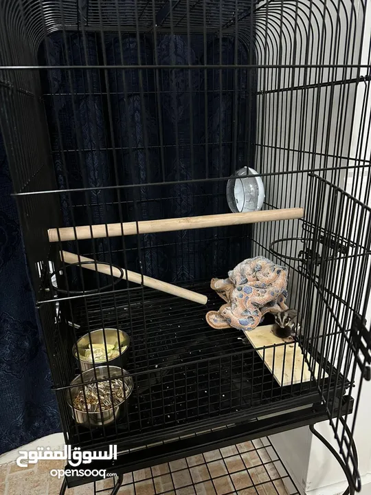 Cage for bird