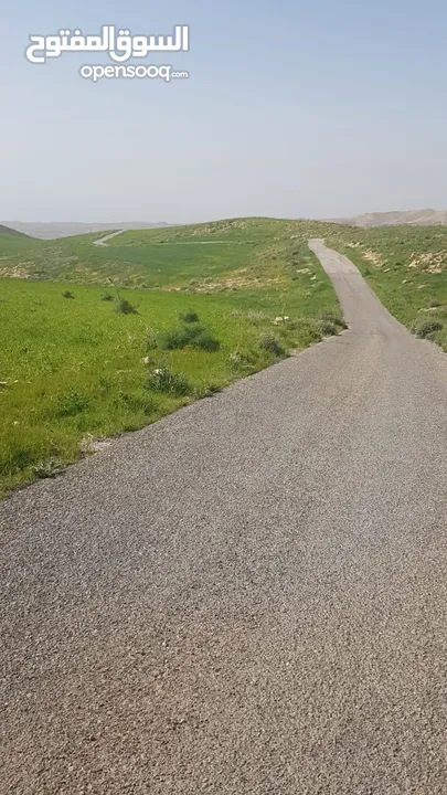 مادبا ماعين قطعة أرض زراعية مميزة مطلة على البحر الميت والضفة الغربية بمساحة 21 دونم