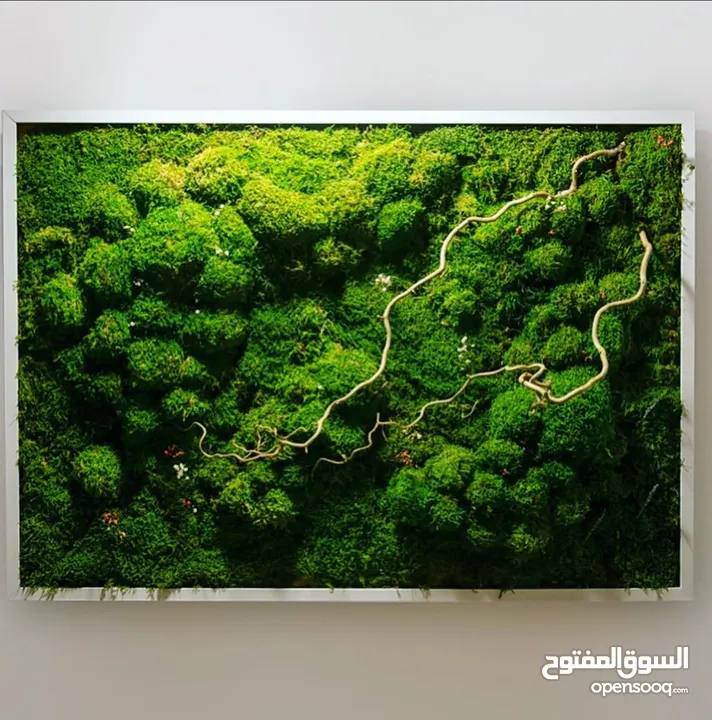 Moss walls for houses and office + Gallery 1 art work