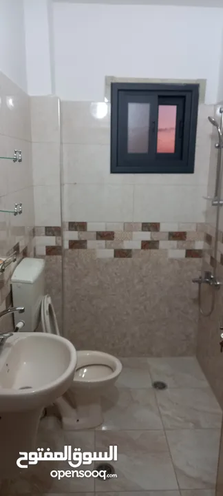 شقه للايجار