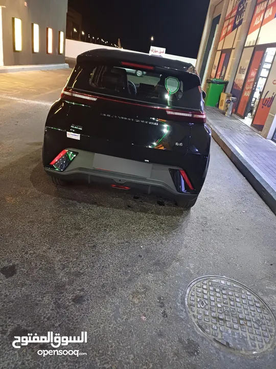 بي واي دي سيجال